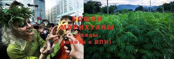 jwh Карпинск