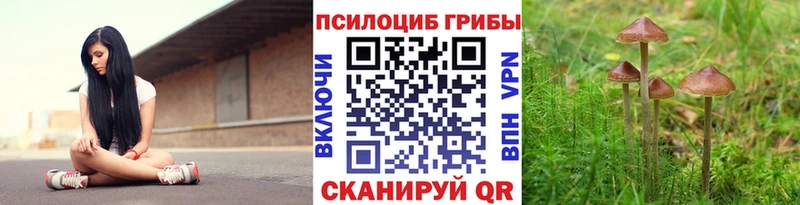 Галлюциногенные грибы мицелий  Купить где  Бор 