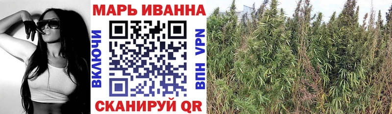 Купить закладки Бор Бошки Шишки ГИДРОПОН